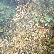 Picture 079